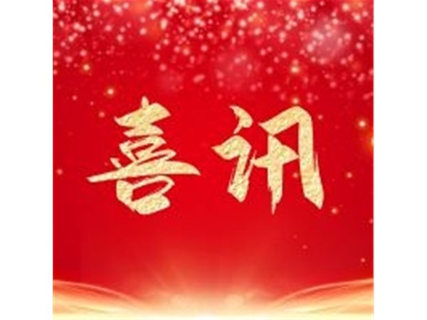 喜訊丨公司技術喜獲科技進步獎一等獎