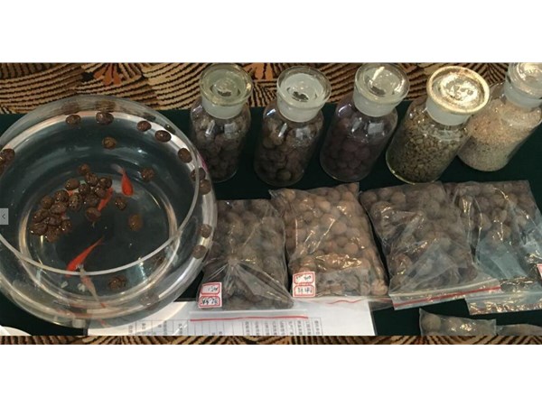 填埋？堆肥？焚燒？泥咋不去做陶粒呢